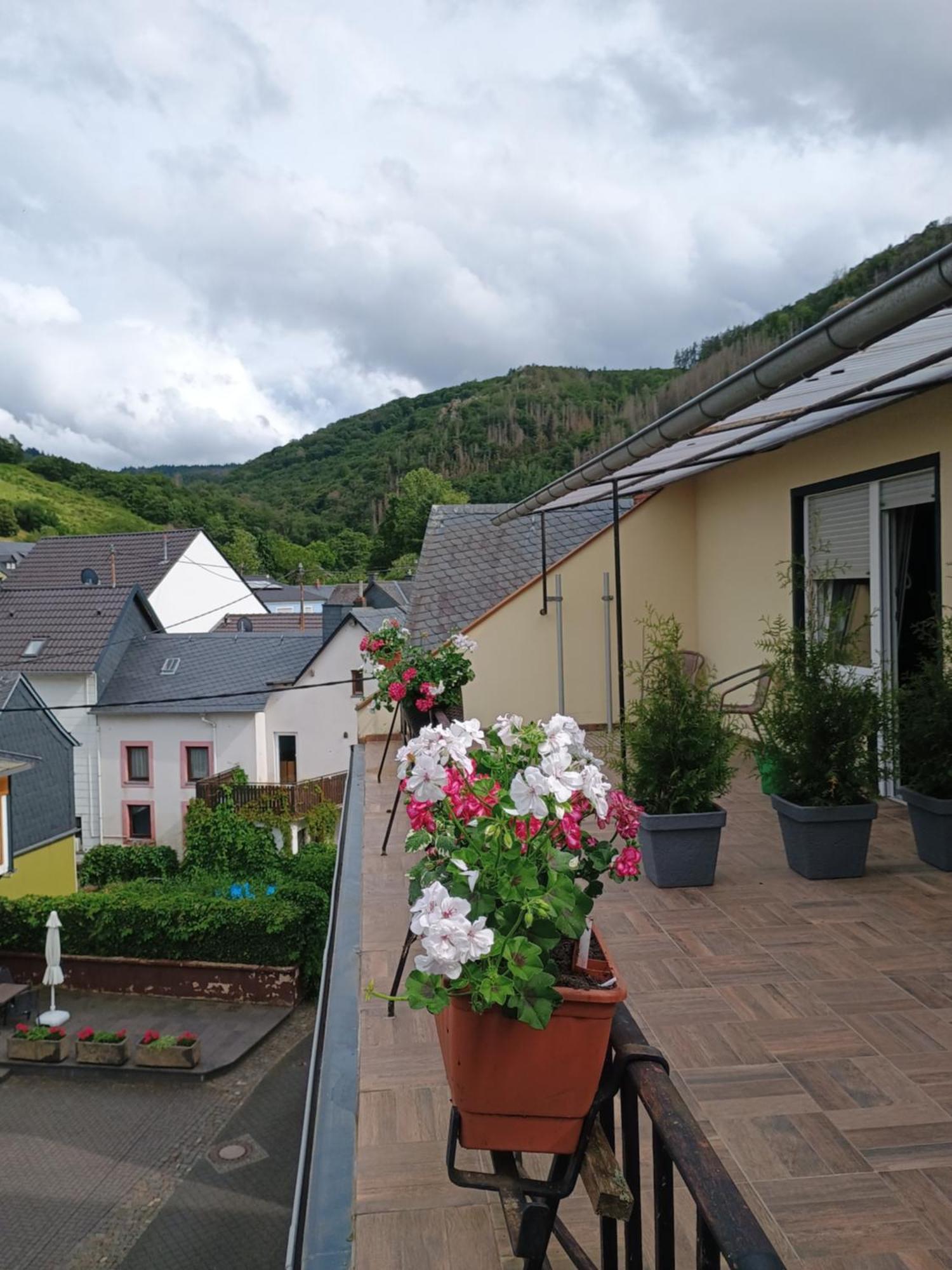 Gasthof Zur Grafschaft Veldenz Bagian luar foto
