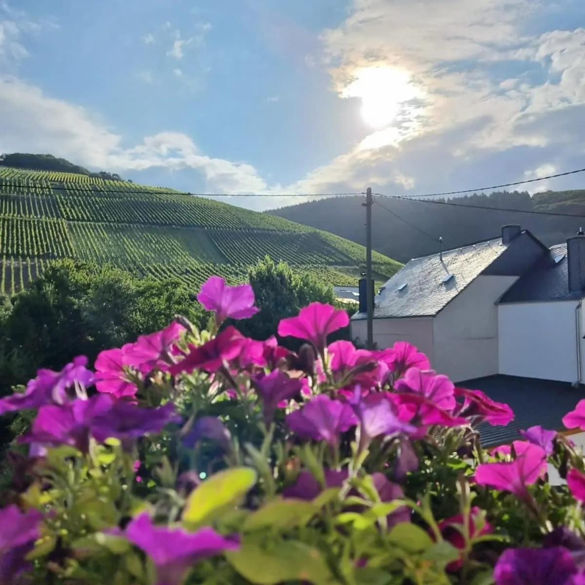 Gasthof Zur Grafschaft Veldenz Bagian luar foto